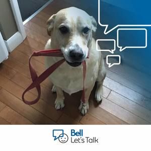 Meet your Posher, Louise